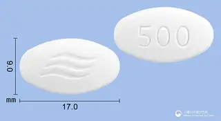 애니목스정500mg(아목시실린·설박탐피복실) 사진