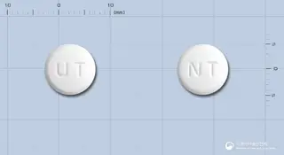 나테리드정90밀리그램(나테글리니드) 사진