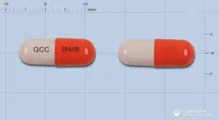 덴타렌캡슐 사진