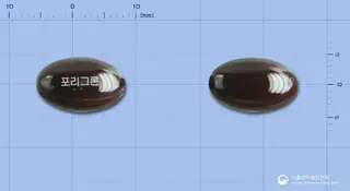 포리그론연질캡슐 사진