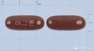 마그톤연질캡슐 사진