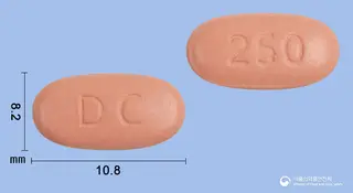 동구레보플록사신수화물정250mg 사진
