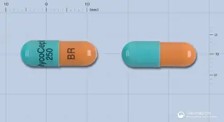 마이코셉트캡슐250mg(미코페놀산모페틸) 사진