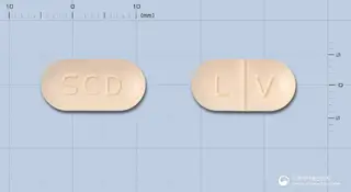 레보스타정500mg(레보플록사신)(수출용) 사진