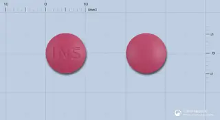 이지에스정(방기황기탕건조엑스) 사진
