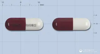 마이에신캡슐(은교산) 사진