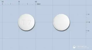 트랜미정 사진
