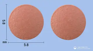 라니아정 사진