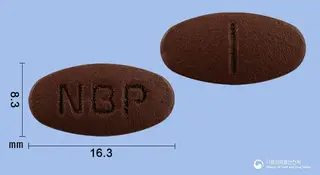 팩트라민정 사진