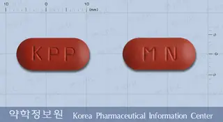 미네코다정 사진
