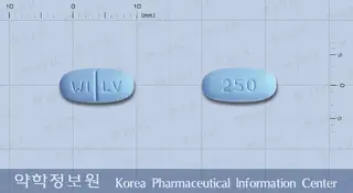 케프렙톨정250밀리그램(레비티라세탐) 사진