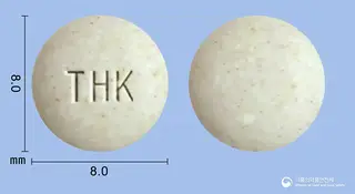 더가드코와정장정 사진