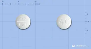 페브릭정40밀리그램(페북소스타트) 사진