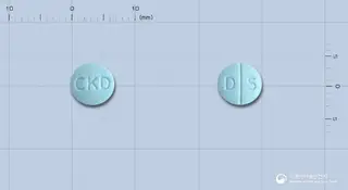 듀비에정0.5밀리그램(로베글리타존황산염) 사진