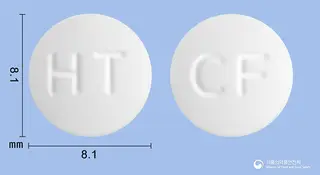 크라프록신정100mg(레보플록사신수화물) 사진