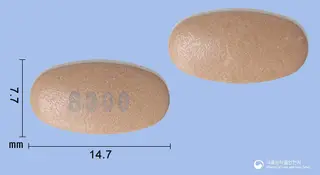 신바로정 사진