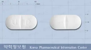 유니콜론정 사진