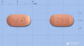 하이록신정250mg(레보플록사신수화물) 사진