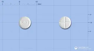 스폴론정(메틸프레드니솔론) 사진