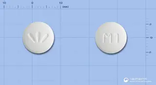 다이포민정500밀리그램(메트포르민염산염) 사진