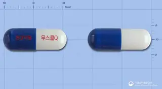 무스콜에스캡슐 사진