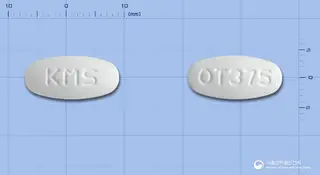 오구멘탐정375mg 사진