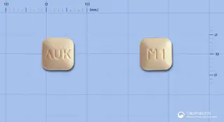 몬테스코정10mg(몬테루카스트나트륨) 사진