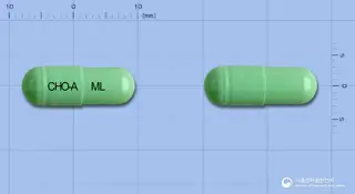 멜록캡슐7.5mg(멜록시캄) 사진