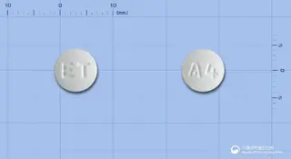 레프렉스정100mg(레보플록사신수화물) 사진