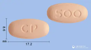 레플록신정500mg(레보플록사신) 사진