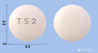 트란시노2정 사진