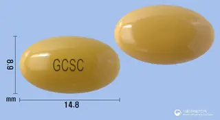 글리커버연질캡슐(콜린알포세레이트) 사진