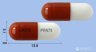 넬슨프레가발린캡슐75mg(프레가발린) 사진