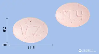 비보존몬테루카스트츄정4mg(몬테루카스트나트륨) 사진