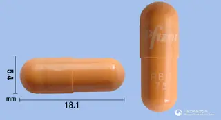 입랜스캡슐75mg(팔보시클립) 사진