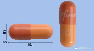 입랜스캡슐100mg(팔보시클립) 사진