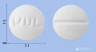 타스온정10mg(베포타스틴베실산염) 사진