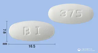 바이크라정375mg(아목시실린·클라불란산칼륨) 사진