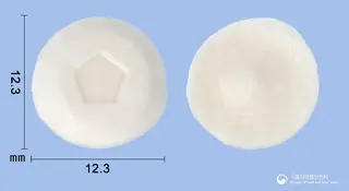 아카리작스12SQ집먼지진드기 설하정 사진