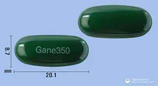 가네리버연질캡슐350mg(밀크시슬열매건조엑스) 사진
