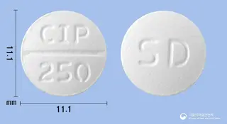 팜젠시프로플록사신정250mg(시프로플록사신염산염) 사진