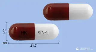 이누신캡슐(은교산) 사진
