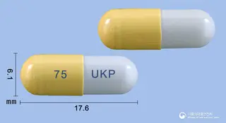 유니타미비르캡슐75mg(오셀타미비르인산염) 사진