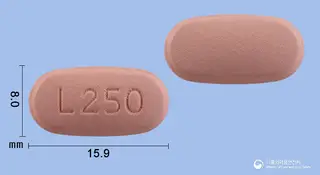 레보바이정250밀리그램(레보플록사신수화물) 사진