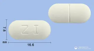 진네틸정250mg(세푸록심악세틸) 사진