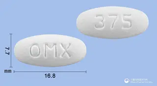 오메틴정375mg(아목시실린·클라불란산칼륨(2:1)) 사진