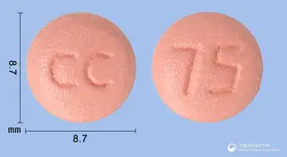 클로비스정75밀리그램(클로피도그렐황산수소염) 사진