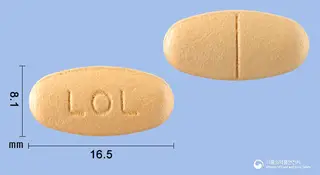 레오론정 사진