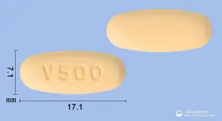 빌다글메트정50/500밀리그램(빌다글립틴,메트포르민) 사진