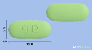 파모콤푸정 사진